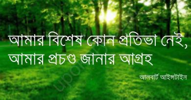 motivation quote einstein