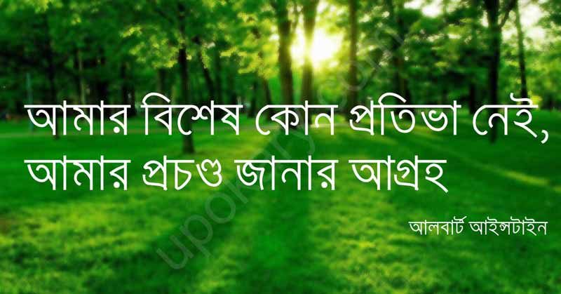 motivation quote einstein