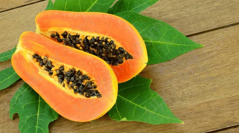 papaya