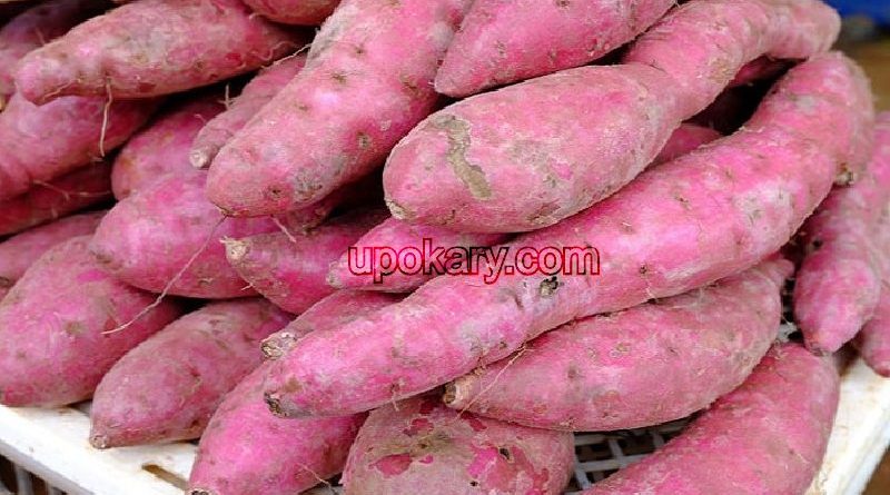 sweet potato