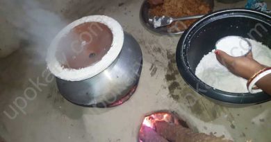 vapa pitha