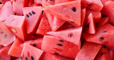 watermelon slices