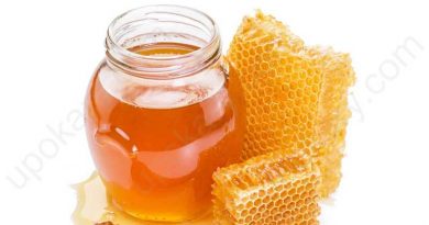 Honey jar with beehive