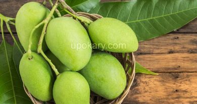 greenmango