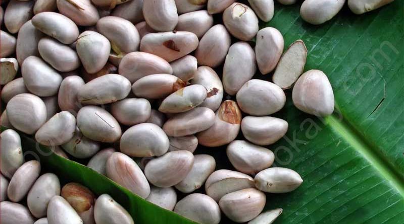 jackfruit seeds
