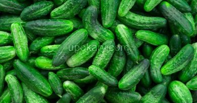cucumbers