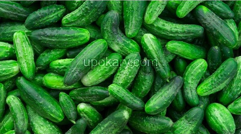 cucumbers