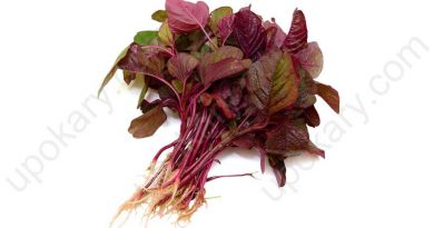lal shak or red spinach