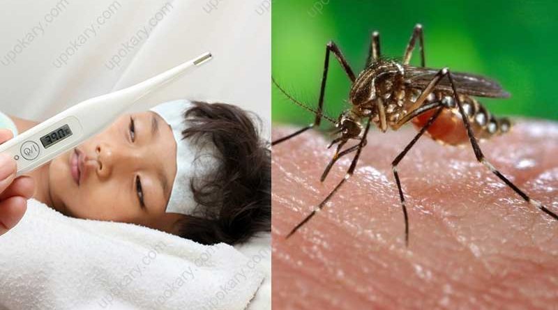 dengue fever