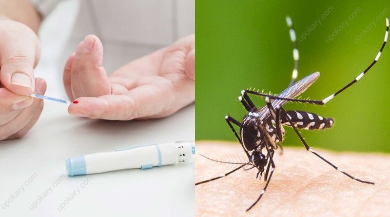 dengue for diabetes patient