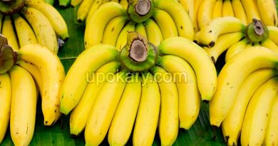 banana on banana leaf
