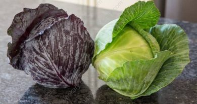 cabbage