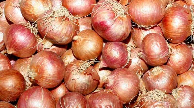 onion-3