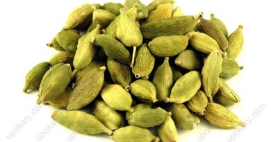 Cardamom