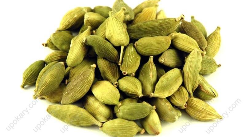Cardamom