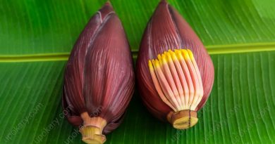 banana-flower