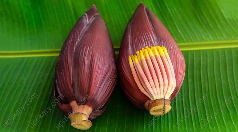 banana-flower