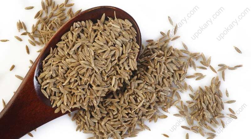 cumin seeds
