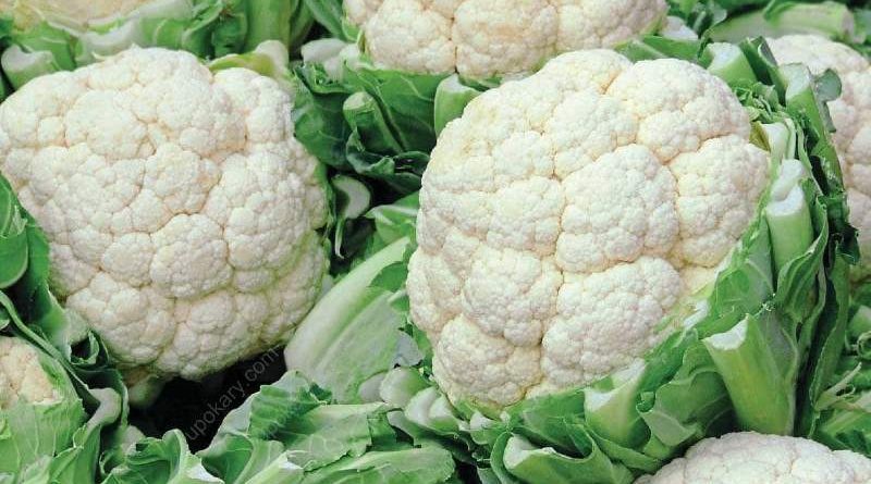 fresh cauliflower