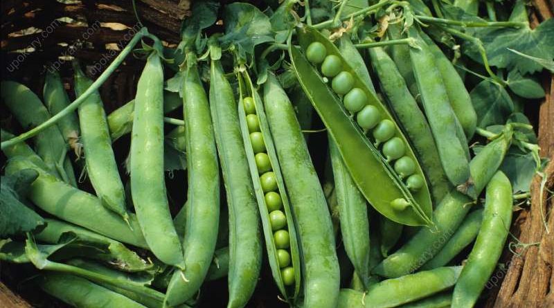 green peas