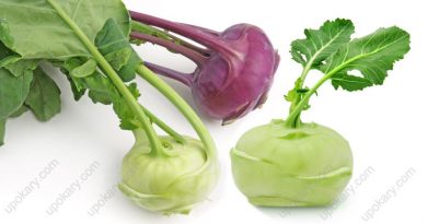 healthy kohlrabi