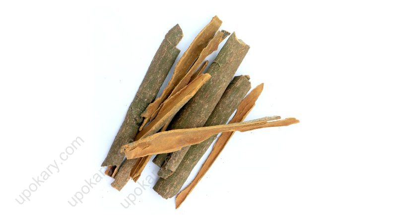 Cinnamon Barks