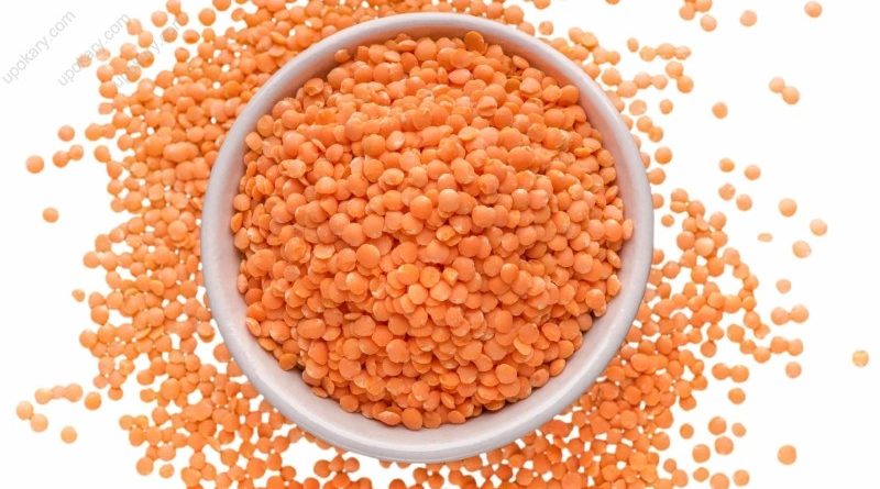 lentil seeds orange