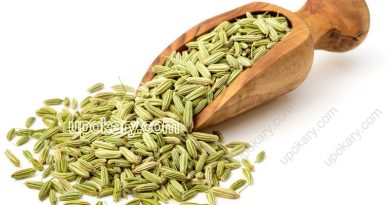 fennel seed