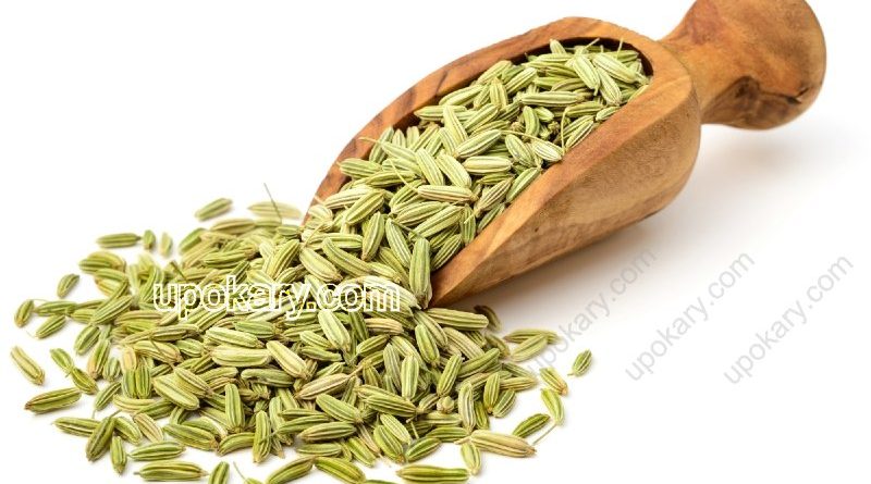 fennel seed