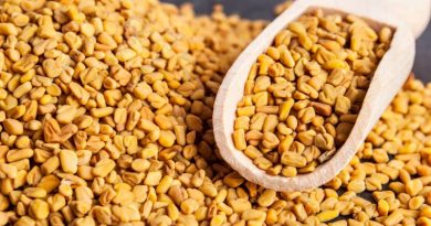 fenugreek