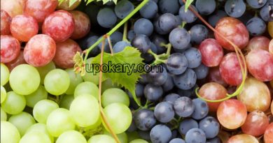 healthy grape
