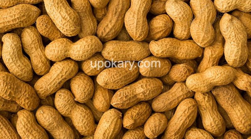 healthy peanut