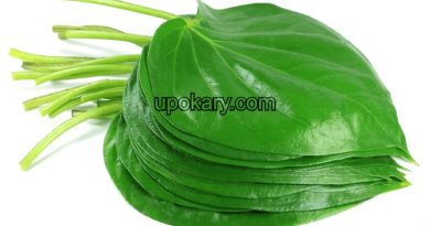 betel leaf