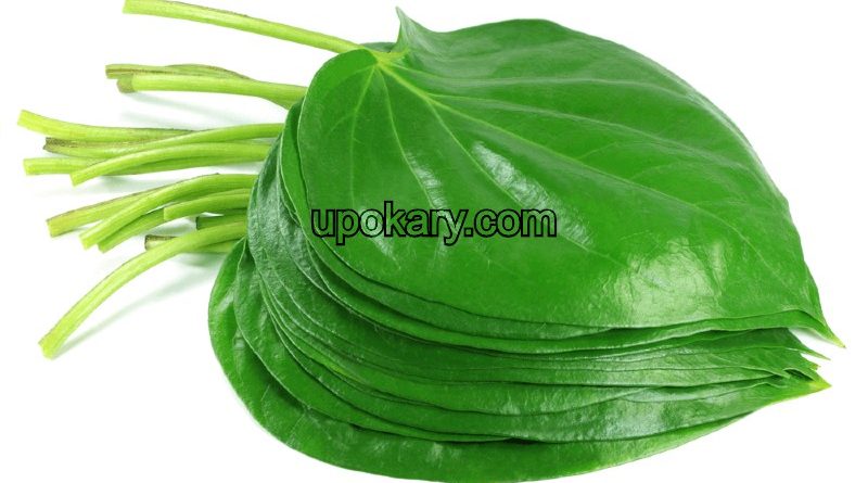 betel leaf