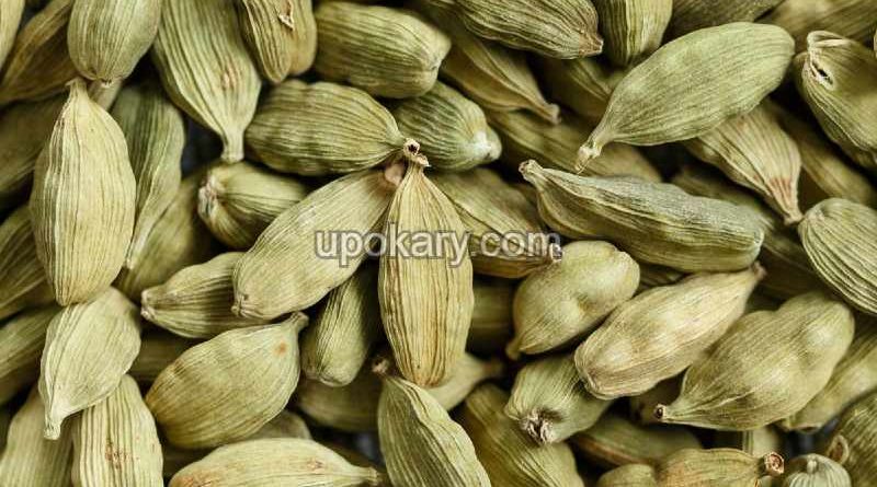cardamom