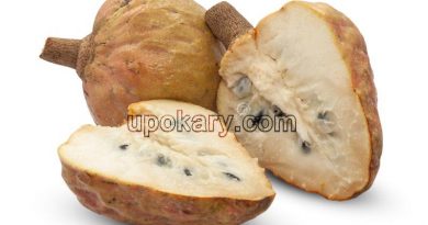 custard apple