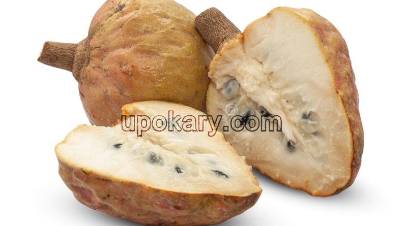 custard apple