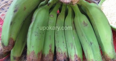 healthy green banana