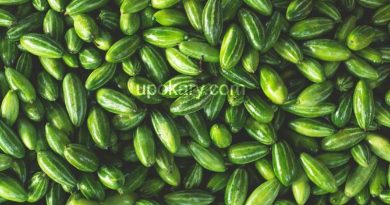 healthy pointed gourd