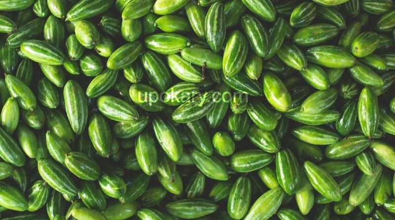 healthy pointed gourd