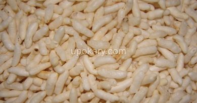 puffed rice