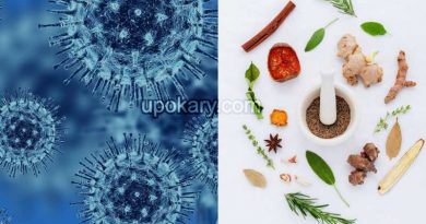 ayurvedic food coronavirus
