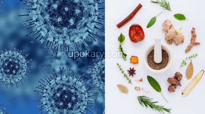 ayurvedic food coronavirus