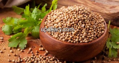 coriander seed