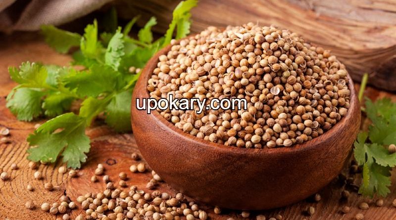 coriander seed