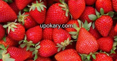 strawberry