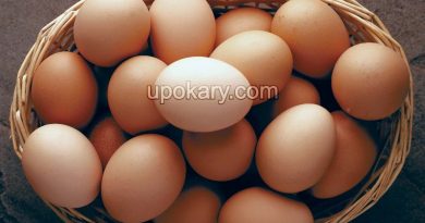 Brown eggs