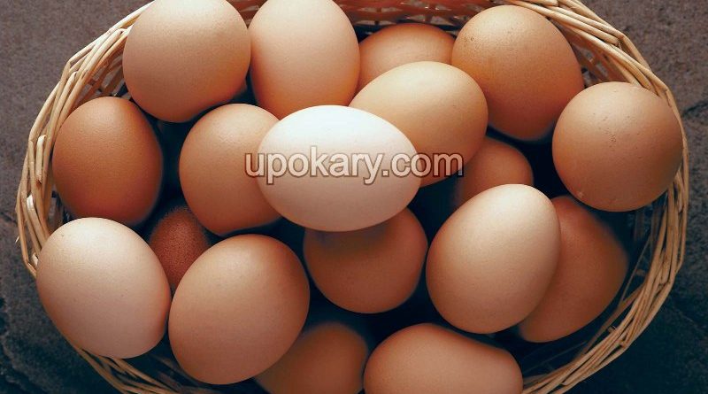 Brown eggs