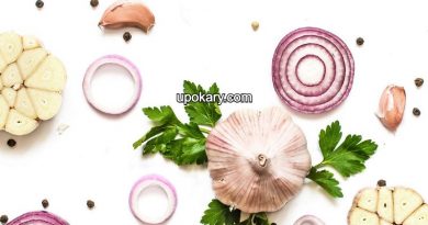 Onions garlic against cancer
