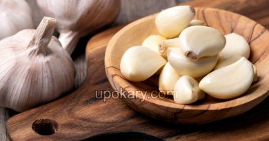 garlic